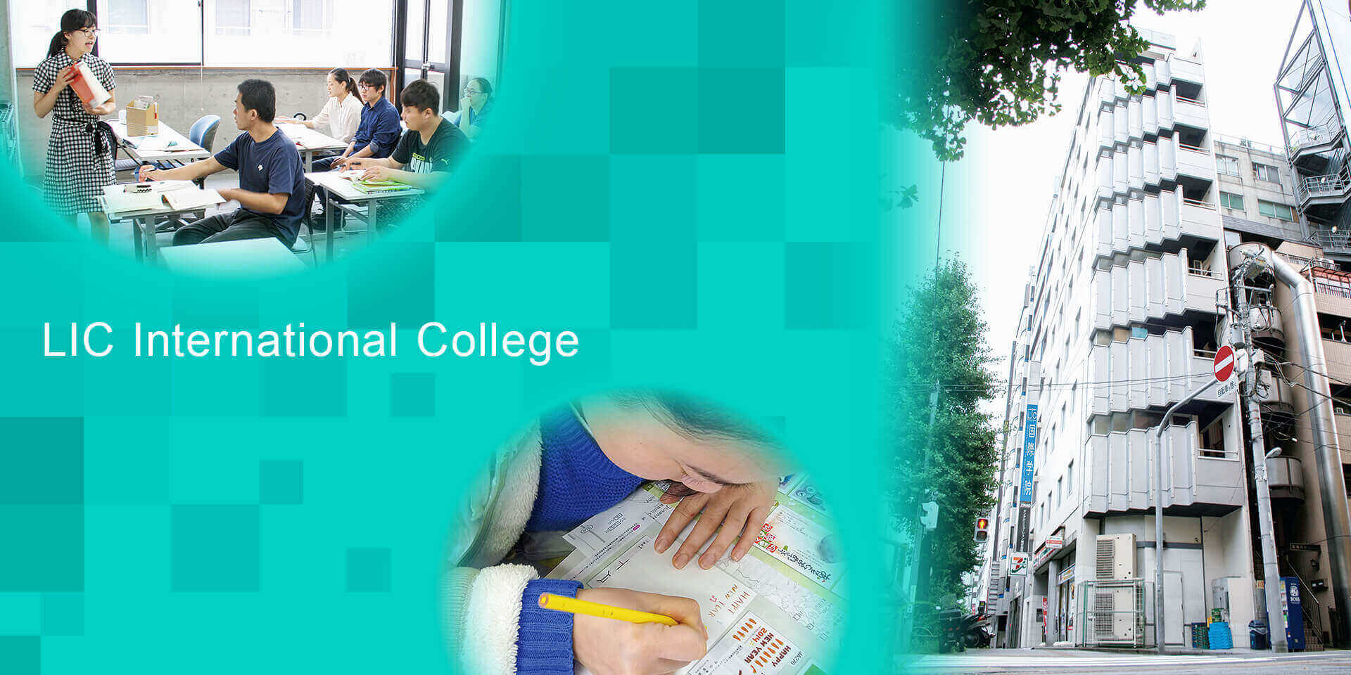 LIC International College